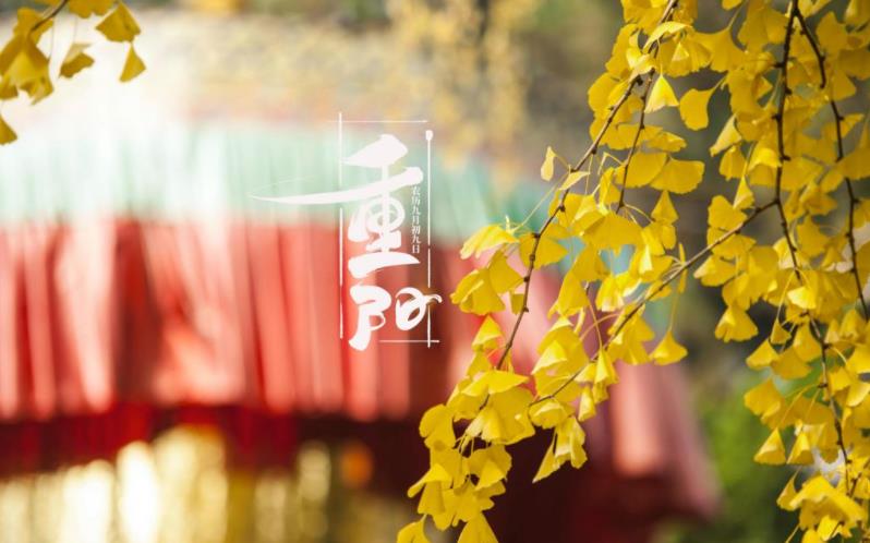 金秋送爽，心暖重陽。祝您重陽愉快，闔家歡樂，福壽安康！